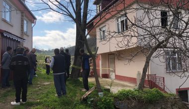 ORDU’DA ELEKTRİKLİ BATTANİYE CAN ALDI