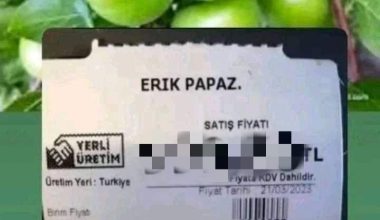 PAPAZ ERİK GRAM ALTINLA YARIŞIYOR İDDİASI
