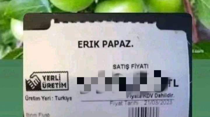PAPAZ ERİK GRAM ALTINLA YARIŞIYOR İDDİASI