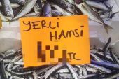 HAMSİNİN FİYATI 3 HANELİ RAKAMLARA ÇIKTI