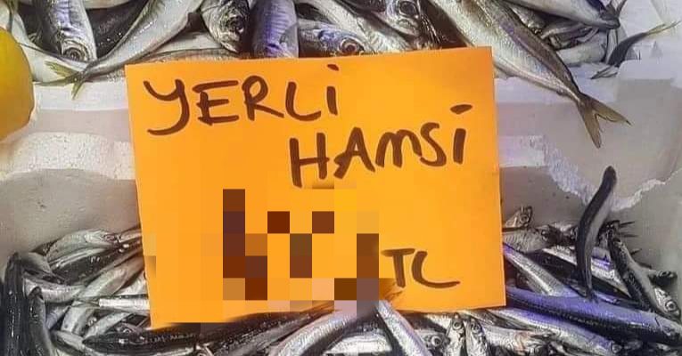 HAMSİNİN FİYATI 3 HANELİ RAKAMLARA ÇIKTI