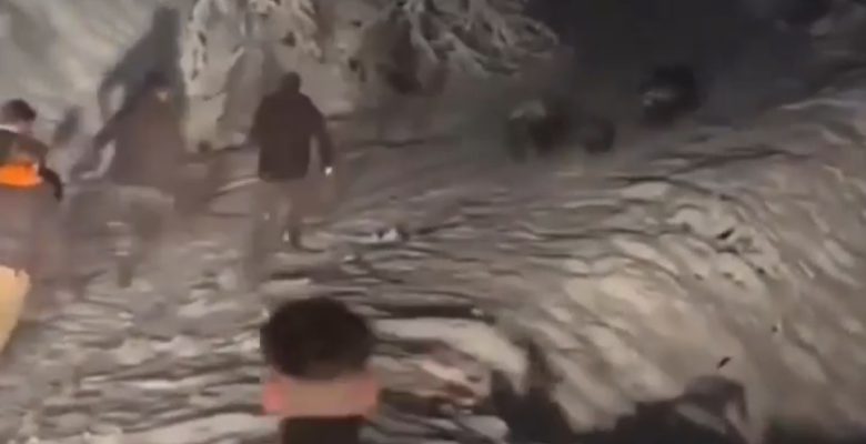 ORDULULAR DOMUZLARI BÖYLE KOVALADI (İZLE)