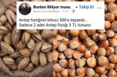 FISTIK DA OLUYOR, FINDIKTA YARISI BİLE OLAMIYOR!
