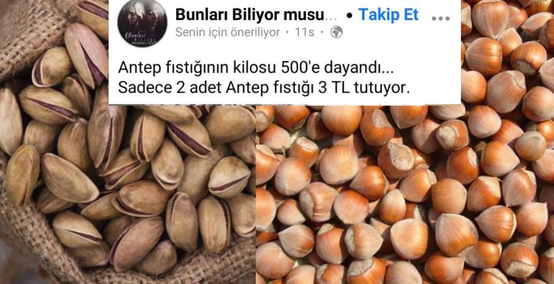 FISTIK DA OLUYOR, FINDIKTA YARISI BİLE OLAMIYOR!
