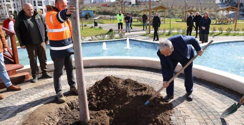 BÜYÜKŞEHİRDEN ‘YEŞİL SEFERBERLİK’