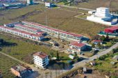 62 ADET OTO GALERİ NOTER KURASI İLE SAHİPLERİNİ BULDU