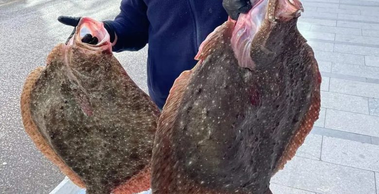 ORDULU BALIKÇILARIN KALKAN ŞANSI