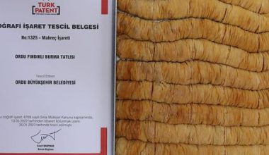 ORDU FINDIKLI BURMA TATLISI’ TESCİLLENDİ
