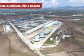 MESUDİYE’YE DEV YATIRIM