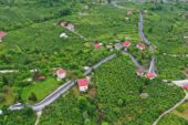 KİBELE’NİN EVİNE GİDEN YOLA SICAK ASFALT
