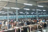 KARADENİZ’İN EN BÜYÜĞÜNDE HAZIRLIKLAR TAMAM