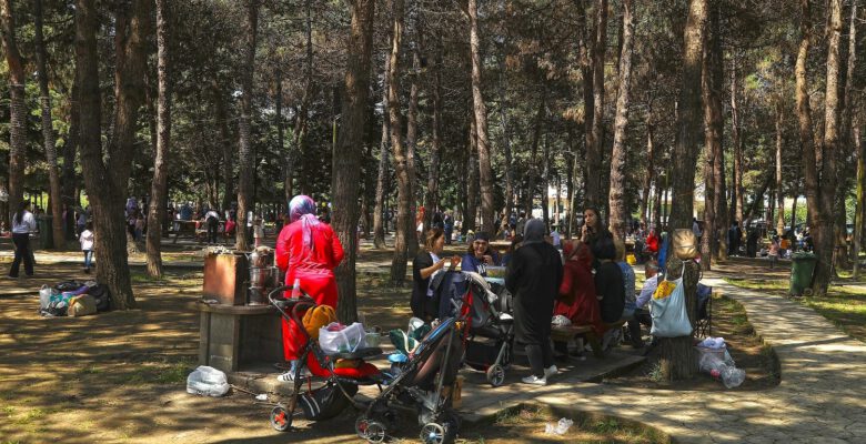 AKYAZI MESİRE ALANINA YOĞUN İLGİ