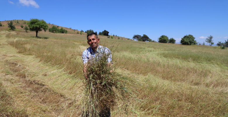 ORDU’DA 27 BİN DEKAR ATIL ARAZİ TARIMA AÇILDI