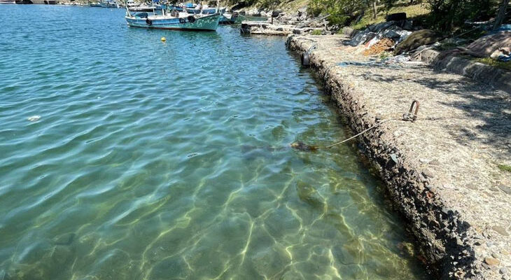 ORDU’DA DENİZE GİRMEK 1 GÜN SÜRE İLE YASAKLANDI