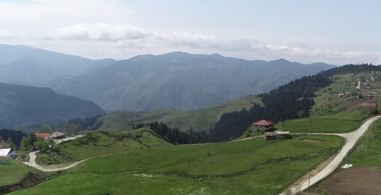 YAŞLI KADIN YAYLADA EVİNİN ÖNÜNDE ÖL*Ü BULUNDU