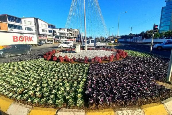 MEVSİMLİK ÇİÇEKLER TOPRAKLA BULUŞUYOR