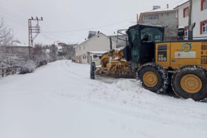 ORDU’DA KAR ESARET DEĞİL