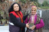 ORDU’DA BAL GİBİ PROJE!
