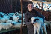 ORDU’DA TARIM VE HAYVANCILIKTA REFORM