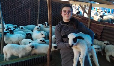 ORDU’DA TARIM VE HAYVANCILIKTA REFORM