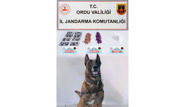 UYUŞTURUCUYA GEÇİT YOK… UYUŞTURUCUYA GEÇİT YOK…