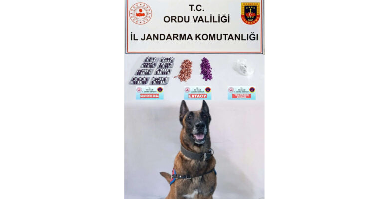 UYUŞTURUCUYA GEÇİT YOK…